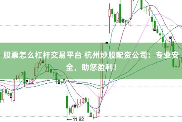 股票怎么杠杆交易平台 杭州炒股配资公司：专业安全，助您盈利！