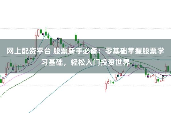 网上配资平台 股票新手必备：零基础掌握股票学习基础，轻松入门投资世界