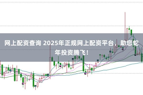 网上配资查询 2025年正规网上配资平台，助您蛇年投资腾飞！