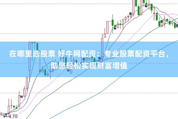 在哪里选股票 好牛网配资：专业股票配资平台，助您轻松实现财富增值