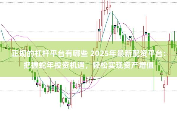 正规的杠杆平台有哪些 2025年最新配资平台：把握蛇年投资机遇，轻松实现资产增值
