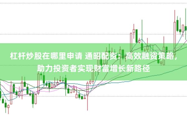 杠杆炒股在哪里申请 通昭配资：高效融资策略，助力投资者实现财富增长新路径