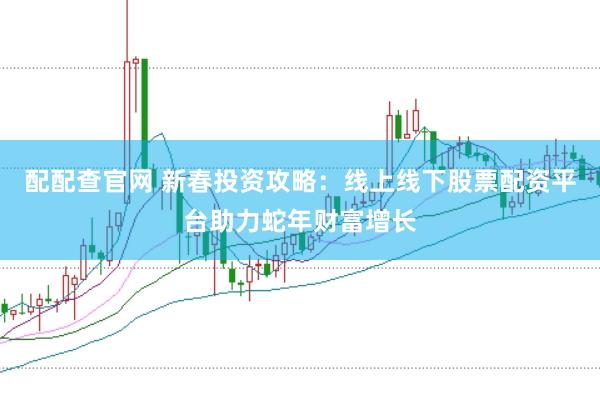 配配查官网 新春投资攻略：线上线下股票配资平台助力蛇年财富增长