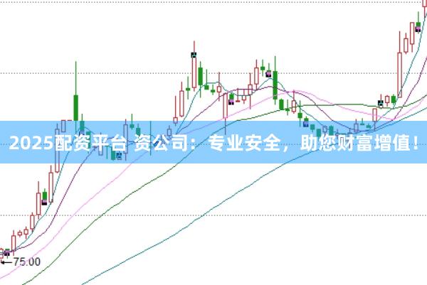 2025配资平台 资公司：专业安全，助您财富增值！