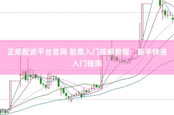 正规配资平台官网 股票入门视频教程：新手快速入门指南