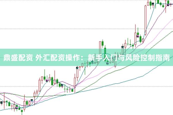 鼎盛配资 外汇配资操作：新手入门与风险控制指南