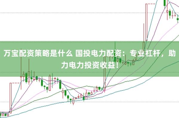 万宝配资策略是什么 国投电力配资：专业杠杆，助力电力投资收益！