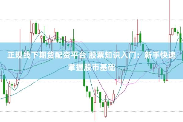正规线下期货配资平台 股票知识入门：新手快速掌握股市基础