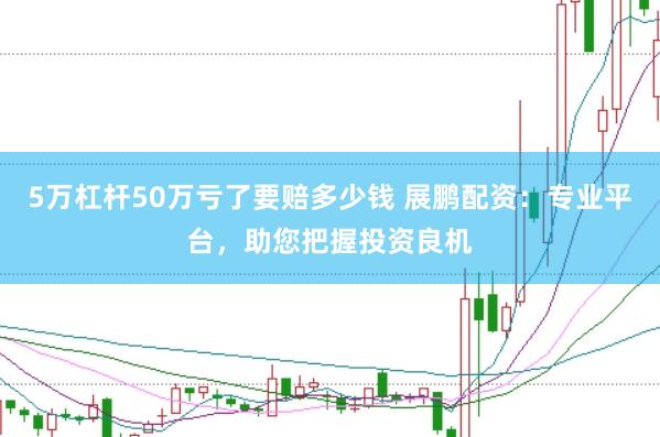 5万杠杆50万亏了要赔多少钱 展鹏配资：专业平台，助您把握投资良机