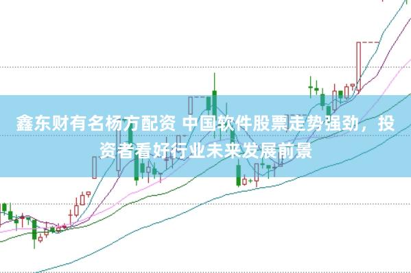 鑫东财有名杨方配资 中国软件股票走势强劲，投资者看好行业未来发展前景