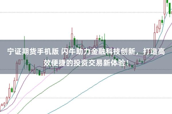 宁证期货手机版 闪牛助力金融科技创新，打造高效便捷的投资交易新体验！