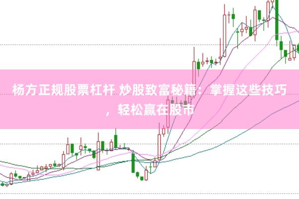 杨方正规股票杠杆 炒股致富秘籍：掌握这些技巧，轻松赢在股市