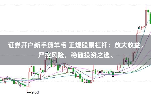 证券开户新手薅羊毛 正规股票杠杆：放大收益，严控风险，稳健投资之选。