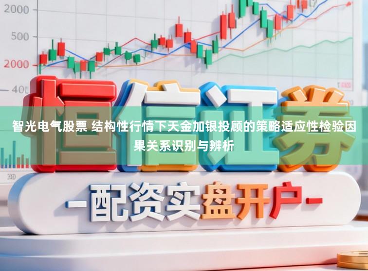 智光电气股票 结构性行情下天金加银投顾的策略适应性检验因果关系识别与辨析